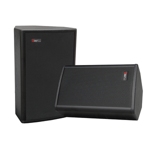 <strong>AR</strong>-8 8inch Professional Stage <strong>Speaker</strong> 150W RMS 8 Ohms 65Hz-18KHz Frequency Response 300W Peak Power High Quality - Product Image 4