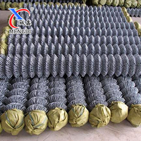 Malla de Alambre de Acero Galvanizado Recubierta de PVC de Alta Resistencia, Rollo de 50 pies, Malla de Alambre de Ciclón de Diamante