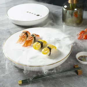 Ayu-platos coloridos de cerámica japonesa para sushi y hielo seco, vajilla de porcelana para servir, venta al por mayor