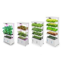 Équipement hydroponique, jardinage d'intérieur, système de culture hydroponique vertical avec pompe, facile à utiliser