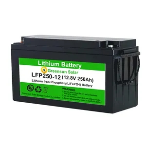 12volt batterie packs Suppliers-12 jahre garantie Li-Ion Lifepo4 Batterie Pack 12volt 250ah 12v 200ah lithium-batterie pack für ESS