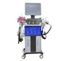 14in1 Hydra Spa Facial Machine Hydrafacy Machine Poignée Conseils H2O2 Hydro Oxygen Jet Peel Visage Nettoyage Brosse Dispositif