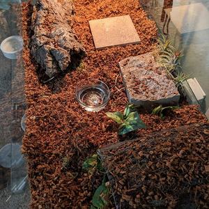 Bloque de Fibra de Coco Premium para Reptiles, Ladrillo de Cáscara de Coco, Virutas de Coco, Sustrato para Reptiles - Product Image 3