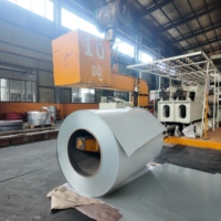 Bobine d'acier Galvalume prélaqué PPGL résistant au sel, finition mate ou brillante RAL, GL AZ100 AZ180 ASTM A792, 0,2-1,0 mm