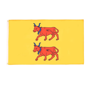 Bandera de la Provincia Francesa de Béarn, 3x5 pies, Poliéster, Departamento de Francia, 150x90 cm, Bandera Decorativa con 2 Ojales - Product Image 1