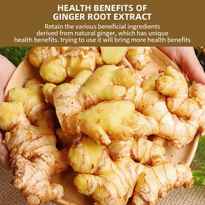 Prix de gros, poudre <span class=keywords><strong>d</strong></span>'extrait de racine de gingembre de qualité supérieure, poudre de gingembre biologique pure séchée - Product Image 4