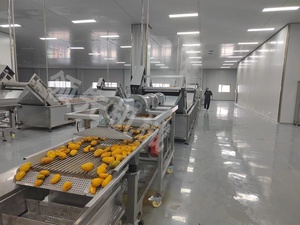 آلة إزالة بذور المانجو/صانع عصير المانجو للاستخدام في مصانع لب المانجو - Product Image 2