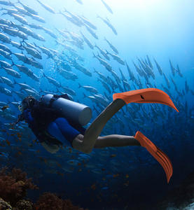 Zapatos de Snorkel con Bolsillo para Aletas, para Adultos, Venta al Por Mayor de Fábrica - Product Image 6