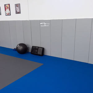 Rembourrage mural de salle de sport directement de l'usine, rembourrage personnalisé pour salle de taekwondo - Product Image 6