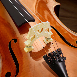 Accessoires pour violoncelle et violon : touche en ébène et érable, chevalet à pieds hauts, touche non polie, séparée - Product Image 1