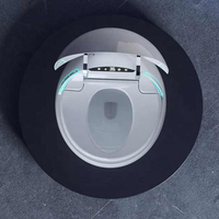 Cuvette de toilette intelligente Mini salle de bain Wc automatique en forme d'oeuf Toilette intelligente en céramique