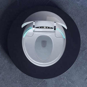 बुद्धिमान शौचालय का कटोरा मिनी बाथरूम अंडे के आकार का स्वत: Wc शौचालय चीनी मिट्टी स्मार्ट शौचालय - Product Image 4