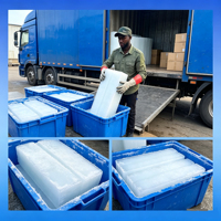 Machine à fabriquer des briques de glace à énergie solaire, équipement de production de blocs de glace à haut rendement, compatible avec panneau solaire, pour la pêche et le travail