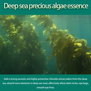 コラーゲンの下のくまの海藻を取り除く60個のアイジェルマスクヒアルロン酸パッドアンチエイジング保湿韓国海藻アイパッチ