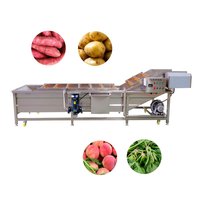 Fruit En Groente Bubbel Reinigingsmachine Industriële Automatische Apple Wasmachine Luchtbel Groente Schoonmaken Wassen