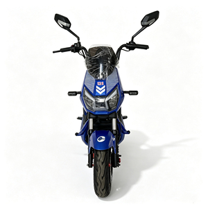 Bicicletta Elettrica con Telaio in Acciaio, Capacità di Carico 150KG, 3 Velocità, Batteria 60V, Motore Brushless 500W con Display LED - Product Image 2