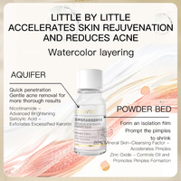 Poudre d'essence apaisante et hydratante 10ml à la Niacinamide et à l'Acide Salicylique pour le contrôle du sébum et l'élimination de l'acné