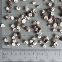 2031 Graines de Gorgon Euryale séchées, non coupées, sans soufre, de haute qualité pour l'alimentation
