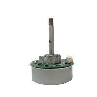 Moteur sans balais CC personnalisé de 58 mm, 12 V, 12 W, moteur plat pour purificateur d'air, ventilateur de sol, série 58, LXS58B/LXS5812B, 1200 tr/min