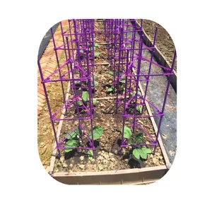 Benutzer definierte China Garden Gemüse pfähle Gitter Verwendung für Kletter pflanzen Tomaten Rosen Gurken