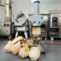 Machine à éplucher automatique pour fruits, mangues, ananas, fruits, légumes, noix de coco