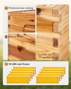 Nuovo legno resistente JubiNatural alveare Box pareti ispessite rivestimento resistente alle intemperie per apicoltura all'aperto commerciale allevamento di api - Product Image 3