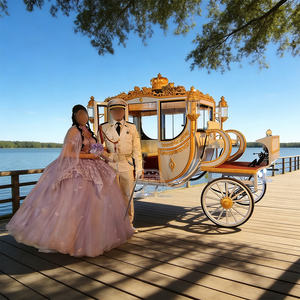 La carreta de caballos eléctrica favorita de los estadounidenses para visitar sitios turísticos al aire libre. - Product Image 3