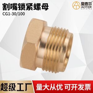 สกรูหัวตัดแก๊ส Ottel Flame Cutter Cap Screw M22 1.5 เกรดเครื่องจักร แบบมีแรงดัน สำหรับเครื่องตัดแก๊ส - Product Image 5
