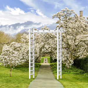 Vignes d'escalade à fleurs en plein air et plantes grimpantes arbre de jardin en pvc - Product Image 2