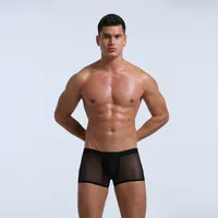 Buy Boldecy Men Skin Breathable Soft fit Men Underwear Mesh Briefs, Pack of  1