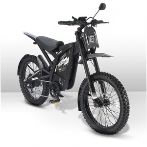 GT2000 Sport Motorcycle 2000W 7-Speed Aluminum Frame Lithium Battery Customizable Riding Modes LED Lights - Product Image 1