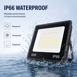 Faro LED 50W 100W 200W IP66 Antipolvere per Illuminazione di Grandi Spazi Industriali, Magazzini, Parchi Logistici - Product Image 1