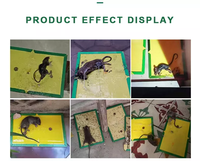 Piège à souris en carton StateGreen, plaque de colle super adhésive, durable, non toxique, attrape-rats pliable, tueur de souris, adhésif collant