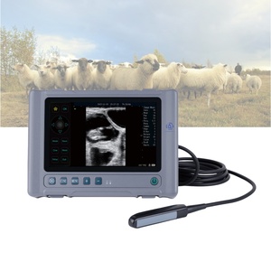 Machine à ultrasons vétérinaire portable 8 pouces à bas prix Scanner à ultrasons portable pour vétérinaires animaux vaches bovins - Product Image 1