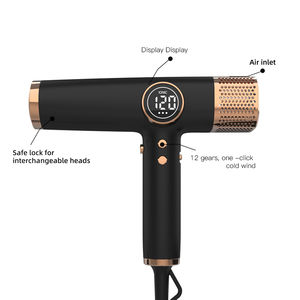 Asciugacapelli Professionale ad Alta Velocità con Motore AC 1600W per Saloni e Hotel, Asciugatura Rapida - Product Image 6