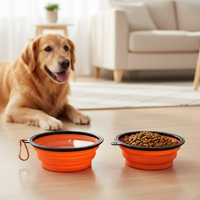 Gamelles pliables portables pour chiens et chats avec logo personnalisé, en TPE, pour l'extérieur, avec mousqueton, pour voyage et maison