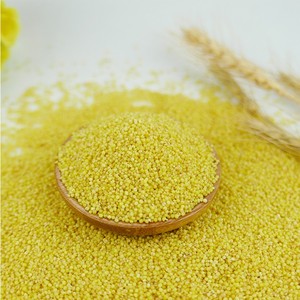 Xiaomi Millet Nihewan Miglio Giallo Decorticato Miglio a Grani - Product Image 4
