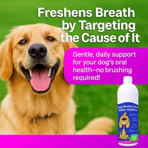 Solution personnalisée <span class=keywords><strong>de</strong></span> soins dentaires pour animaux <span class=keywords><strong>de</strong></span> compagnie OEM/ODM, solution <span class=keywords><strong>de</strong></span> santé bucco-dentaire pour chiens et chats, rafraîchit l'haleine, réduit la plaque et le tartre - Product Image 6