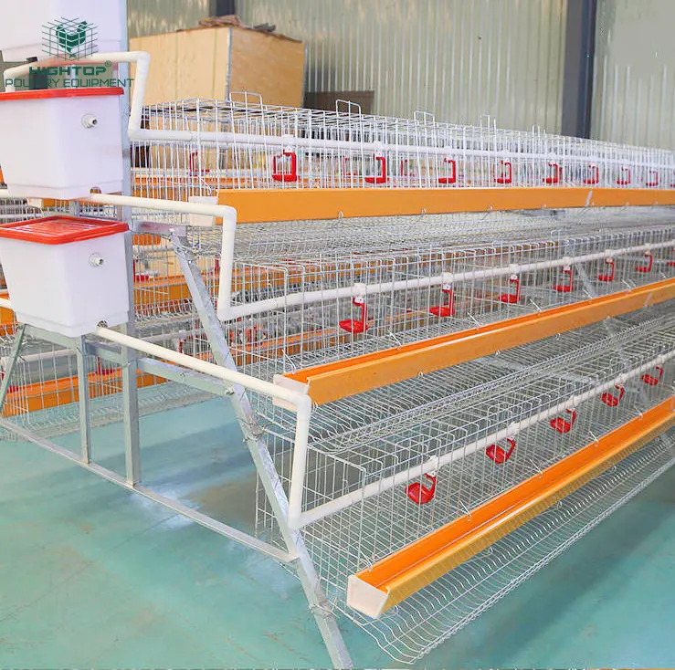 20 Years Lifetime Galvanize A Type 4 Tier Egg Laying Hens Battery Chicken Layer Cage For Poultry Farming 1000 Birds