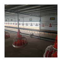 Système d'élevage au sol entièrement automatique pour poulets de chair, équipement avicole complet avec ligne d'alimentation et d'abreuvement
