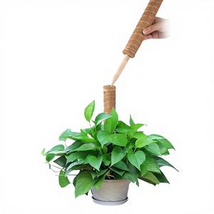 Ruizhifa - Soporte Ecológico para Plantas de Jardín, Poste Cuadrado de Fibra de Coco para Plantas Trepadoras en Maceta, Pothos - Product Image 1