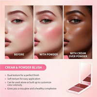 Palette de fard à joues double teinte végétalienne, crème et poudre mate, résistante à l'eau, longue tenue, pour marque privée, vente en gros