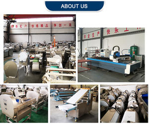 آلة تصنيف الكلور الكهربائية للفواكه والجزر والعاطفة والكيوي آلة تصنيف الكلور الكهربائية للفواكه والخضروات خط معالجة الفراولة - Product Image 6