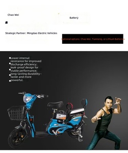 New Factory Wholesale 350W 48V High Speed Adult City Bike with Brushless Rear <b>Hub</b> Motor and Lead-Acid Battery - Product Image 3