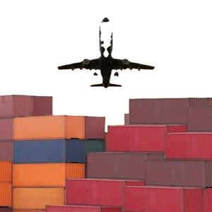 Service de livraison porte à porte plus rapide, agent d'expédition, transitaire international, expédition de Chine vers Béjaïda, Libye - Product Image 3