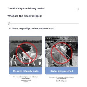 मवेशी घोड़े की भेड़ हिरण कृत्रिम गर्भाधान बंदूक और उपकरण पशु पशु चिकित्सक SJQKS-01 सफेद/चांदी नई - Product Image 2