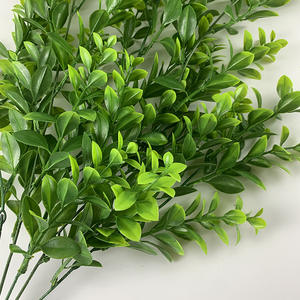 Pianta appesa verde pianta appesa a parete esterna per interni - Product Image 5