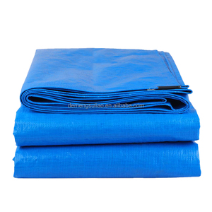 Bâche transparente bleue robuste en PE enduit, toile imperméable avec bords renforcés pour serre et jardin extérieur - Product Image 5
