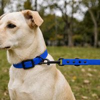 Collier et laisse pour chien en PVC bleu uni personnalisés en gros, réglables, imperméables avec boucle en métal et anneau en D