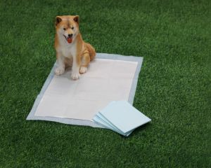 Almohadillas de Entrenamiento Desechables para Cachorros - Product Image 3